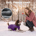 JoyDaog Fleece Dog Jacket for Small Dogs,Puppy Coat with Harness,Purple M