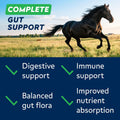 STRELLALAB Horse Probiotic Powder, 240 Servings – Equine Gut Supplement