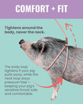 PORCINE® Mini Pig Harness & Leash – Fully Adjustable Step-in Harness with Infinity-Style Lead - Ideal for Medium & Large