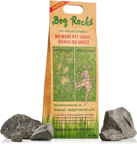 Dog Rocks for Urine Burning Grass - 200g Natural Pet Rock to Help Maintain Green Lawn - Grass Savers for Dog Urine - 2 M