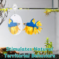 Betta Fish Enrichment Toys Ring with Mirror and Floating Ball, Exercise Mirrors and Training Ring, Floating Mirrors Aqua