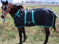 Black Turquoise Trim/40 Inches