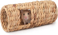 Niteangel Creative & Composable Hamster Tunnel: Edible Water Hyacinth & DIY