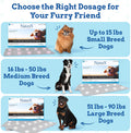 Anti-Motion Sickness and Nausea Relief for Medium Breed Dogs, Relief for Disorientation and Dizziness, 20 Tablets