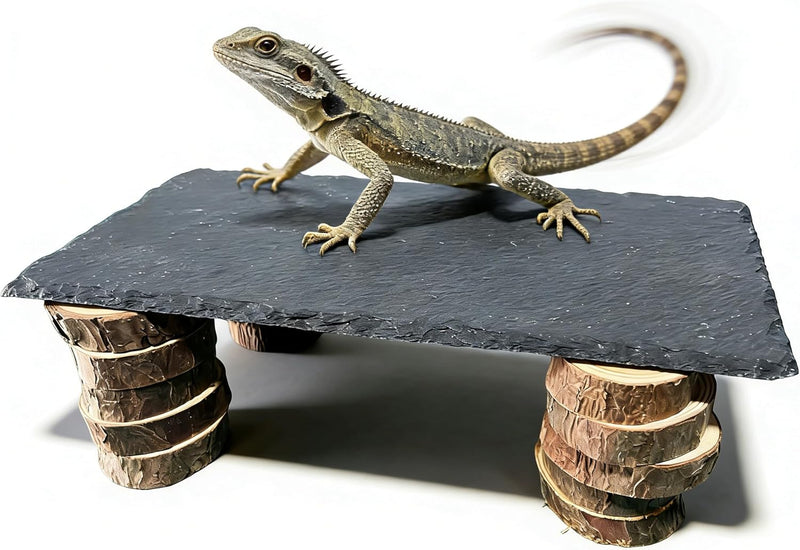 Bearded Dragon Basking Rock Platform with Wooden Pile,Natural Slate Stone Rocks Basking Platform,Habitat Hideouts Hide C