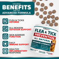 Chewable Flea and Tick Prevention for Dogs - 240 Chews - Flea Oral Pills