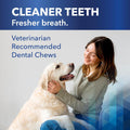 Breakables Clenz-A-Dent Rawhide Dental Chews, 15Ct (Small)
