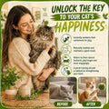 Catnip Spray for Cats – 100% Natural Catnip Spray, Boosts Playfulness & Helps Reduce Stress, Refreshes Toys, Encourages 