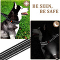 Mayerzon Martingale No Pull Dog Collar, Reflective Walking Collar for Large