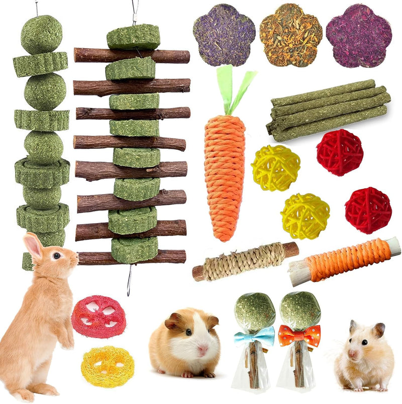 WDEFUN 21PCS Rabbit Chew Toys for Teeth Grinding, Natural Timothy Hay Cakes Treats for Bunny, Organic Apple Wood Sticks 