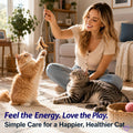Dewormer for Cats Broad Spectrum Cat Dewormer for Tapeworms, Roundworms and Hookworms, Promotes Digestive Comfort