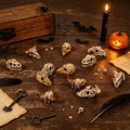CCINEE 12 Pcs Mini Resin Animal Skull Heads in 4 Styles, Realistic Hand-Polished Skull Figurines for Halloween Decor, Aq