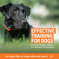 SportDOG Brand Rechargeable In-Ground Fence System - Waterproof, Rechargeable Collar with Tone, Vibrate, and Static - Expandable to Contain Unlimited Dogs