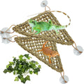 Tfwadmx 3 Pack Bearded Dragon Hammock Lizards Lounger Reptile Climbing Accessories, Natural Seagrass Fibers Hammock for 