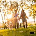 EZ Dog Walking Fanny Pack, Dog Training Treat Pouch, Easy for Walking with Dogs, Belt Bag with 6 Pockets and Waste Bag D