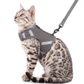 pangdi Cat Harness and Leash Set Escape Proof Kitten Harness No-Head-Pull Cat Vest Cat Leash for Walking Travel, Grey, X-Large