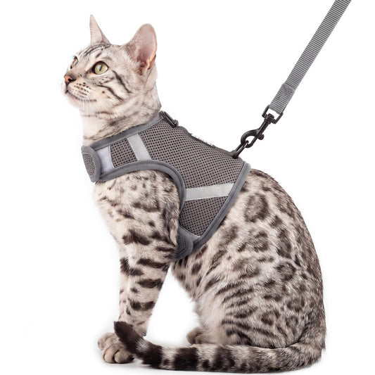 pangdi Cat Harness and Leash Set Escape Proof Kitten Harness No-Head-Pull Cat Vest Cat Leash for Walking Travel, Grey, X-Large