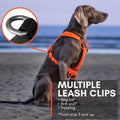 Non-stop Dogwear No Pull Dog Harness 5.0 - Padded Harness with Reflective Details for Small Dogs, Ergonomic Y-Shaped Adj