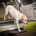 USA Made Otto Step Pet Ramp Step Helps Dogs Get in & Out of Car Van SUV | Portable Lightweight Dog Ramp | Simply Slide into 2 inch Trailer Hitch Receiver | No Tools Needed | Essential Pet Gear |