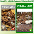 Halatool 2QT Leca Clay Balls for Terrarium Substrate – Lightweight Drainage