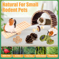 Kyouki Hamster Toys Guinea Pig Toys Set with Tunnel, Chewable Apple Wood & Natural Timothy Hay - Enrichment Chew Toys fo
