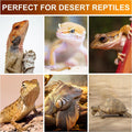 UVB Reptile Light Bulb 10.0, 23W UV Spiral Compact Florescent Terrarium Lamp Ideal for Desert Reptiles Bearded Dragons L