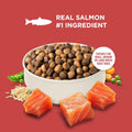 Nutrish Salmon Dry Dog Food, 4.5 lb. Bag (Rachael Ray)
