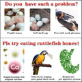Clyairmao Bird Cuttlebone for Parakeets Cuttlebone for Birds - Natural Cuttlefish Bone Bulk Chew Toy Bird Bites Calcium Stone for Canaries Tortoises,Snails,Reptiles,Parrots,Cockatiel