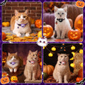 3 Pack Airtag Cat Collars Breakaway Halloween Cat Collar with Airtag Holder