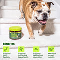 Wuffes Advanced Hip & Joint Chews for Small & Medium Breed Dogs, Vet Recommended, Glucosamine, Chondroitin, MSM, Green-Lipped Mussel & Hyaluronic Acid Supplemen