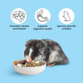 Kaytee Food from the Wild, Pet Hamster Food, 2 Pounds