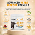 maxxipaws - maxxicardio Heart Support for Dogs (Small Size) – Taurine + L-Carnitine + Hawthorn + Ginkgo – Helps Support Circulation, Energy & Stamina – Easy Mix Powder – Made in USA – 3.2 oz