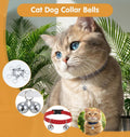 Thrymme 6 Pcs Bell for Cat Collar, Stainless Steel Small Pet Bells Small Bell for Cat Collar Jingle Bells for Pets Collars Charm, Anti-Lost Training, 1/2-Inch, Silver