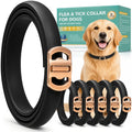 Flea and Tick Collar for Dogs 6 Pack, Natural Flea & Tick Prevention with Essential Oils, Waterproof Adjustable Dog Collar for Small Medium Large Dogs, Black & Gold