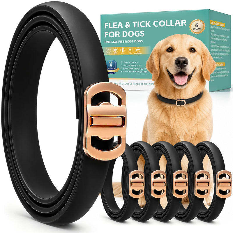 Flea and Tick Collar for Dogs 6 Pack, Natural Flea & Tick Prevention with Essential Oils, Waterproof Adjustable Dog Collar for Small Medium Large Dogs, Black & Gold