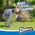 Chuckit! Ultra Rubber Dog Ball, Floating Fetch Toy, Medium 2.5-in, 2-Pack