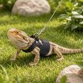 3 Pack Bearded Dragon Leash and Harness Set, Small Reptile Lizard Vest Harness Leash, 3 Size Adjustable Lizard Walking S