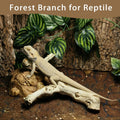 BNOSDM Reptile Branches, 9.5-11.4inch Snake Climbing Branch, Terrarium Wood Branch Decor, Bearded Dragon Tank Climbing A