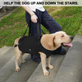 Coodeo Dog Lift Harness, Pet Support & Rehabilitation Sling Lift Adjustable Padded Breathable Straps for Old, Disabled, 