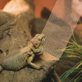 COMSUN 2 Pack Bearded Dragon Hammock, Collapsible Reptile Hammock Lounger