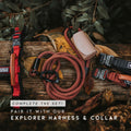 MADE TO ROAM Premium Explorer Leash - Climbing Rope Leash with Autolocking Aviation Aluminum Carabiner - Colorado Nights