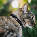 Star Wars Breakaway Cat Collar with Bell, Plastic Clip, Easy Adjustable, Star Wars The Child Chibi Face Blocks Black, 8.5 to 12 Inches 0.5 Inch Wide