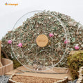 Niteangel Silent Hamster Exercise Wheel - Dual-Bearing Quiet Spinning Acrylic Hamster Running Wheel for Hamsters, Gerbil