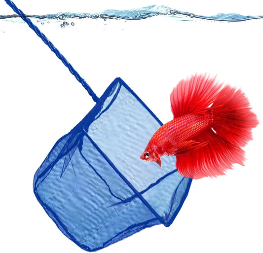 SunGrow Betta Fish Net, Secure Delicate Fin, 5x4 Inches with 11 Inches Handle, Extra Soft Nylon Net, Easy Routine Aquari