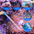 2 Pieces Aquarium Coral Feeder with 2 Pieces Stainless Steel Straight and Curved Feeding Long Tweezers, Acrylic Coral Sp
