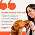 Pet Honesty Vet Recommended Hip and Joint Supplement for Dogs, 90 Count
