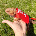 Romansk Bearded Dragon Harness and Leash Set