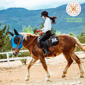 Fly Masks for Horses with Ears Set of 3, Comfort Fit Stretchy Fabric with UV Protection Soft on Skin Breathability for A