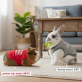 Guinea Pig Clothes (2-Pack), Soft Small Animal Vest T-Shirt