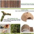 Hermit Crab Accessories – 5PCS Natural Hermit Crab Toys Climbing Bridge, Shells, Coconut Hideout, Moss and Plants for He
